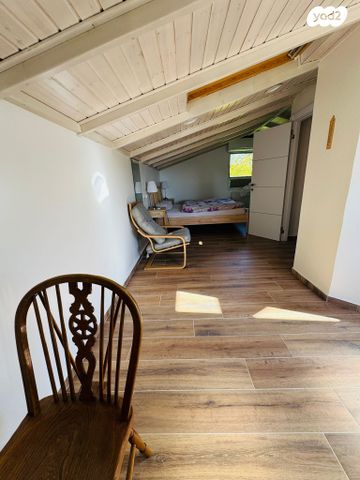 בית פרטי/ קוטג', גינת אגוז 1, חד נס, חד נס