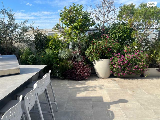 גג/ פנטהאוז, רב אשי, נווה אביבים, תל אביב יפו