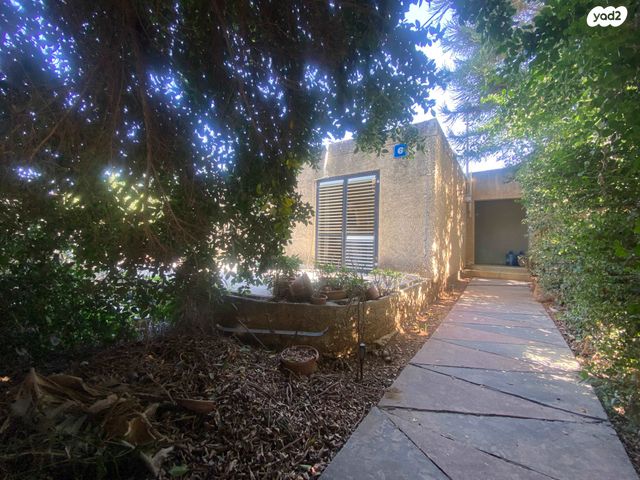 שמואל דיין 6