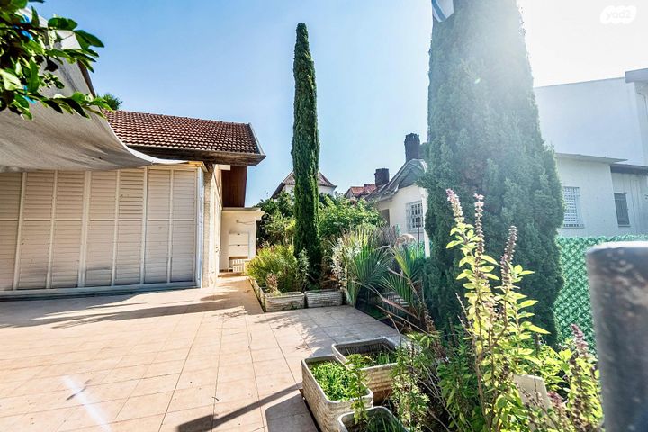 אלכסנדר זייד 