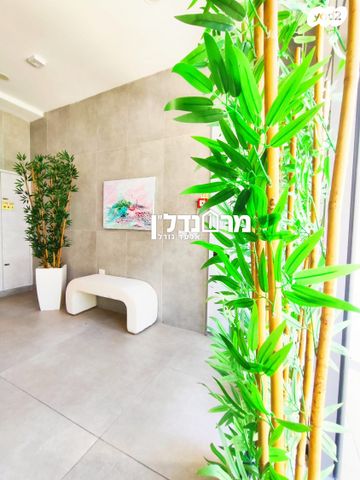 דופלקס, בורר, מרכז, הרצליה