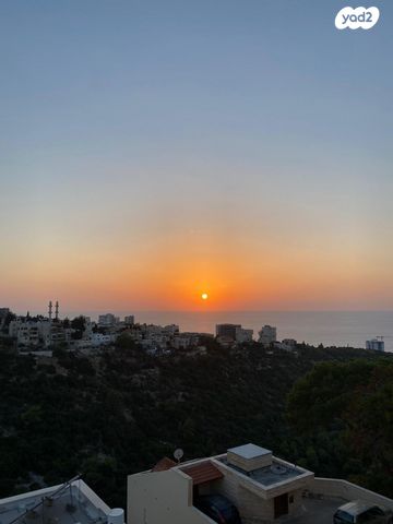 דירה, אילנות, כרמל מערבי, חיפה