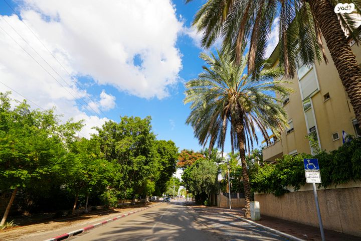 ברל כצנלסון 26