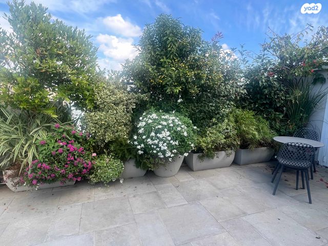 גג/ פנטהאוז, רב אשי, נווה אביבים, תל אביב יפו