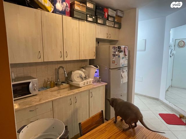 דירה, פלורנטין, פלורנטין, תל אביב יפו