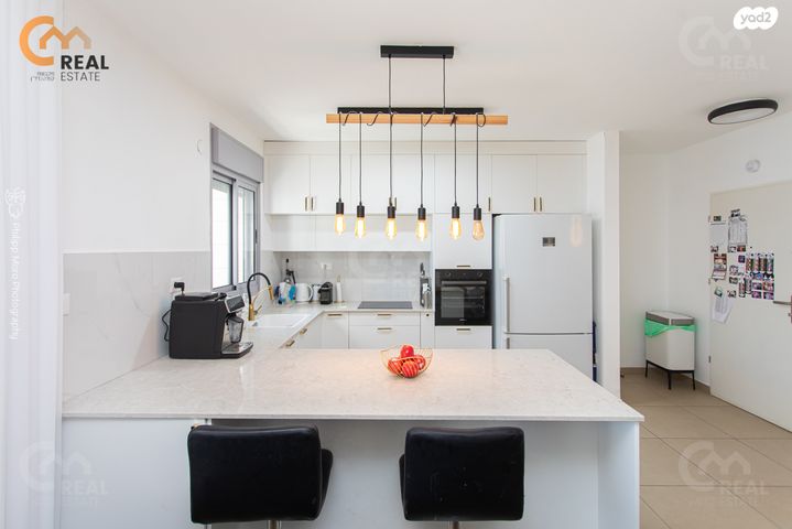 דירה, האנפה, החותרים, טירת כרמל