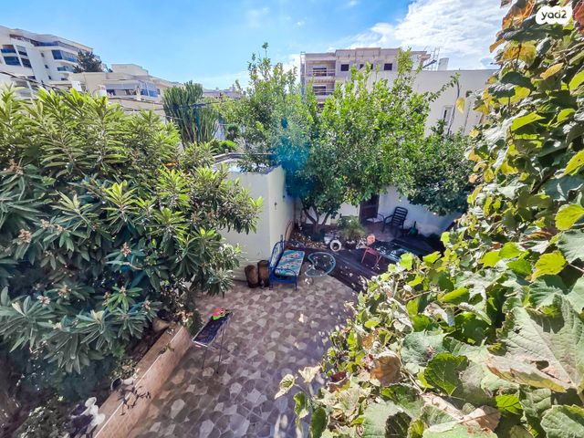 טריפלקס, חפץ חיים, אברמסקי, קרית אתא