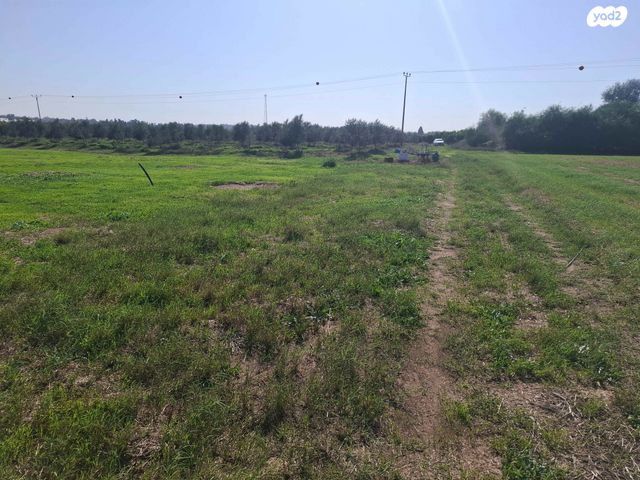 משק חקלאי/ נחלה