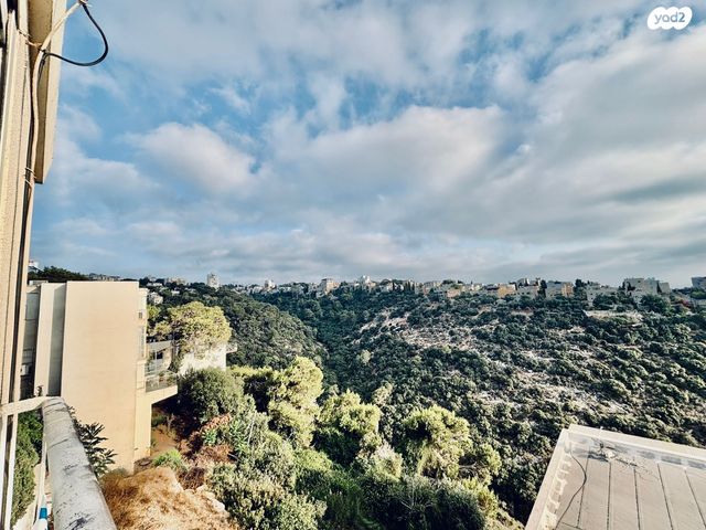 דירה, אילנות, כרמל מערבי, חיפה