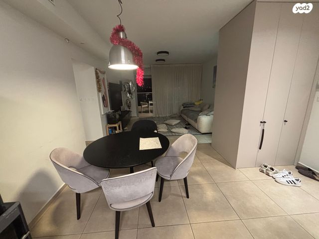 דירה, פרופ' אפרים קציר, רחובות