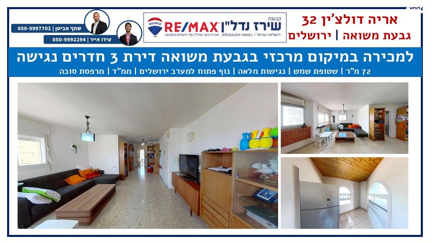 אריה דולצ'ין 32