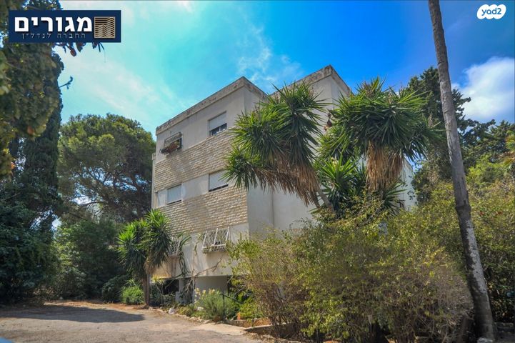 דירה, האלון, כרמל מערבי, חיפה