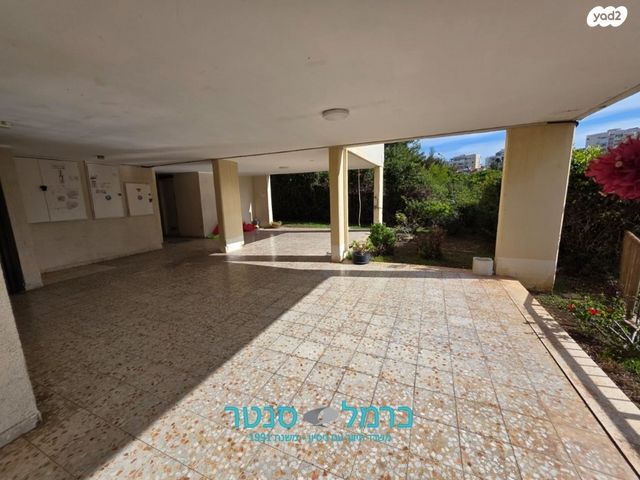 דירה, הראל, חיפה