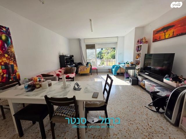 דירה, הראל, חיפה