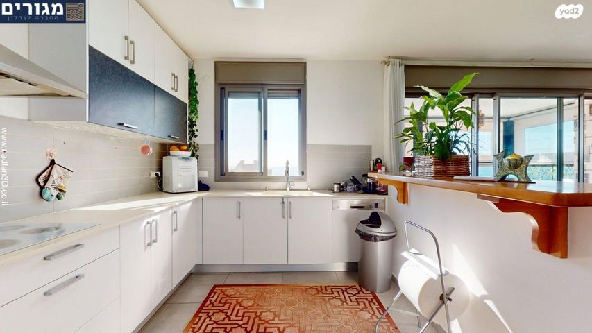 דירה, אלמוג, רמת חביב / רמת הנשיא, חיפה