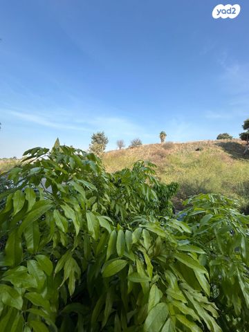 דירה, איתמר, חרוזים, רמת גן