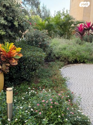 דירה, מכבי, נווה דוד רמז, רעננה