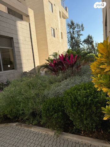 דירה, מכבי, נווה דוד רמז, רעננה