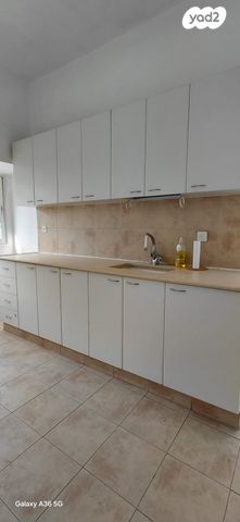 יהודה המכבי 