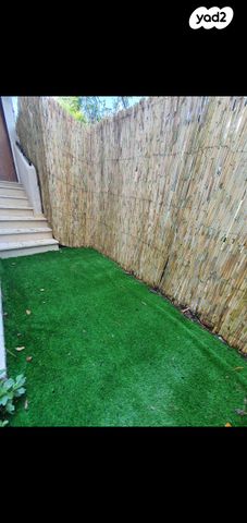 דירה, מסדה, חיפה