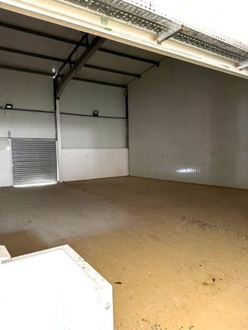 סטודיו/ לופט, אופקים