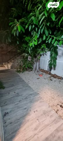 דירת גן, הלל 54, מסדה, חיפה