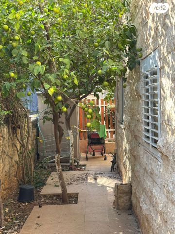 דירת גן, יודפת 4, רובע ד', אריאל