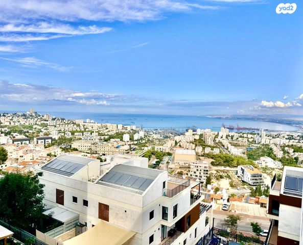 דירה, עמירם חרלף, אחוזה, חיפה