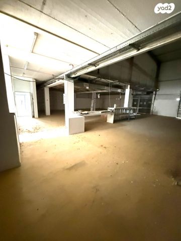 סטודיו/ לופט, אופקים