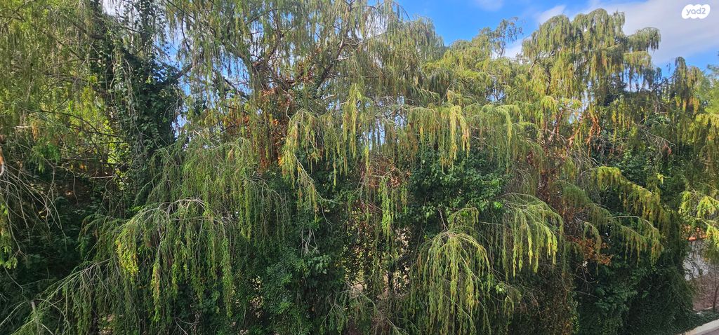 שדרות וייצמן 21