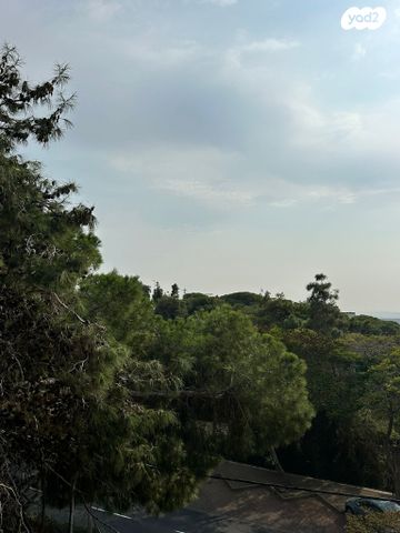 דירה, זמנהוף, אחוזה, חיפה