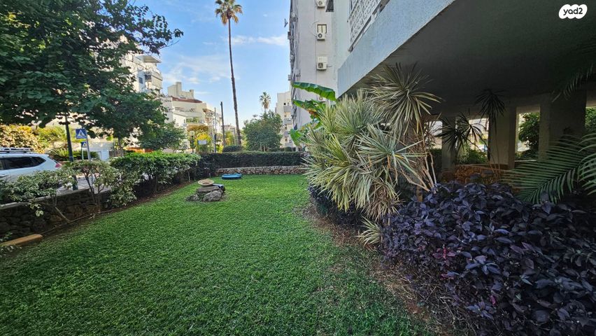 דירה, הגליל, מרכז, כפר סבא