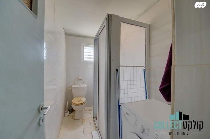 דירה, שבטי ישראל, גבעת אולגה, חדרה