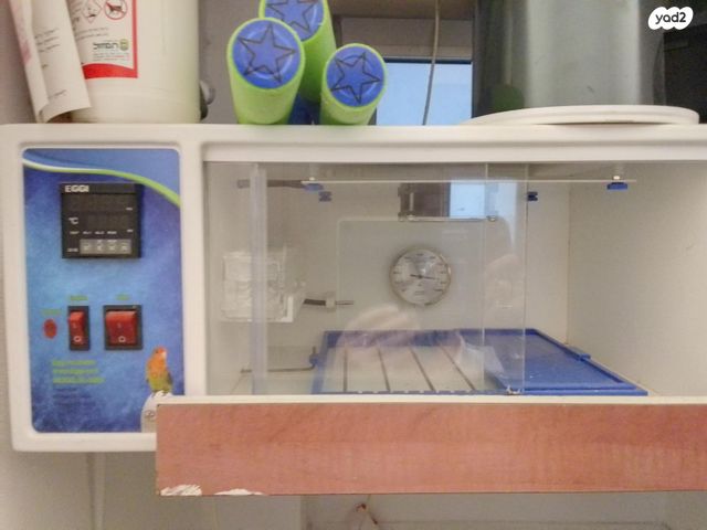 תמונת מודעה - חיות מחמד