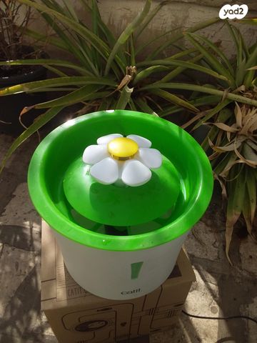 תמונת מודעה - חיות מחמד