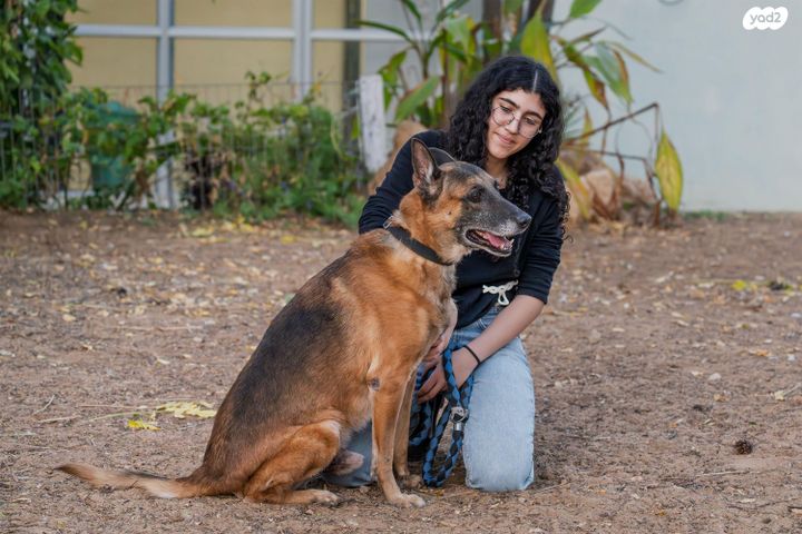 תמונת מודעה - חיות מחמד