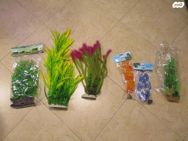 תמונת מודעה - חיות מחמד