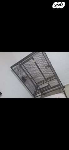 תמונת מודעה - חיות מחמד