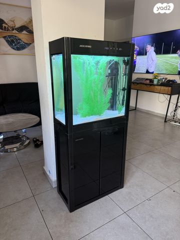 תמונת מודעה - חיות מחמד