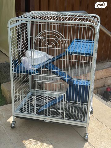 תמונת מודעה - חיות מחמד