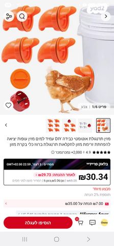 חיית משק רוד איילנד