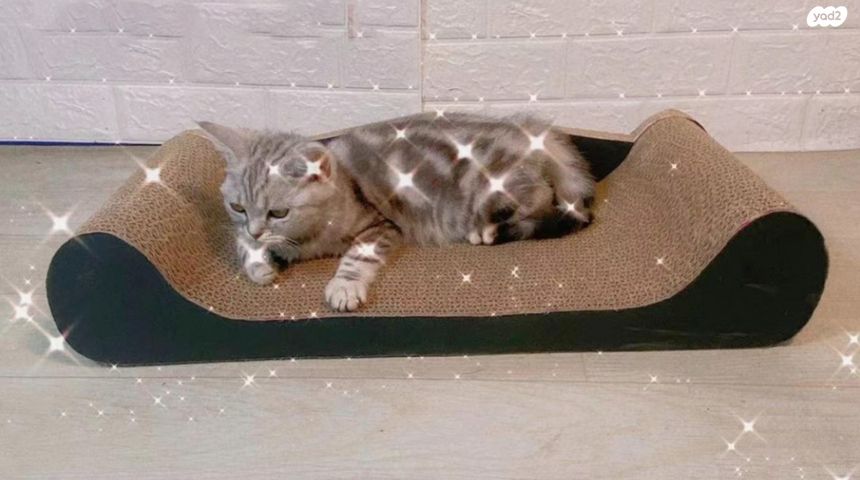 אביזרים | משחקים וצעצועים