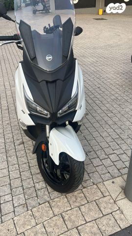 סאן יאנג ג'וי-מקס Z-300