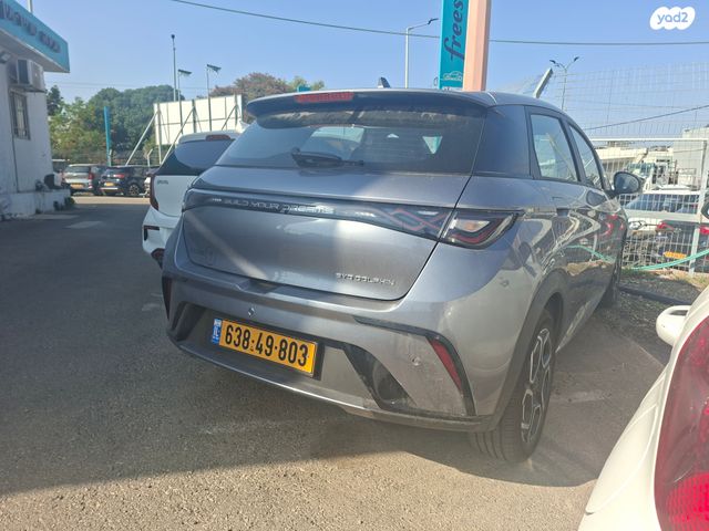 בי.ווי.די דולפין