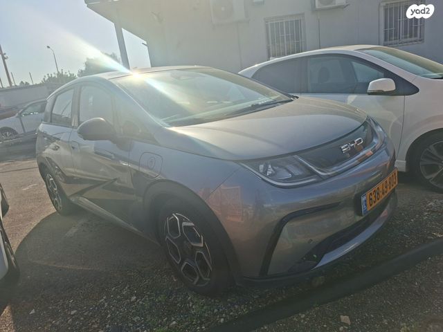 בי.ווי.די דולפין