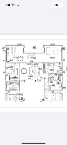 לוי אשכול 10