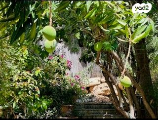 בית פרטי/ קוטג', החרוב 10, אורנית, אורנית