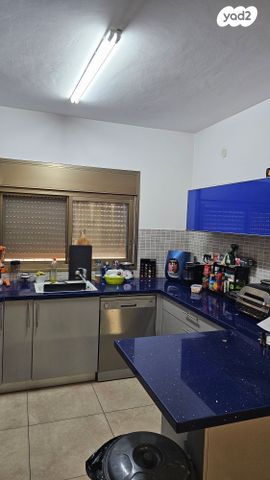 ברדיצ'בסקי 6