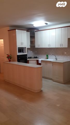 האחים זייגר 3