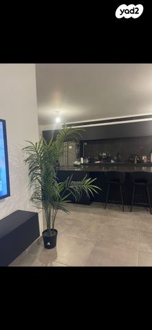 גג/ פנטהאוז, הרבי מלובאוויטש 40, השחר, דימונה